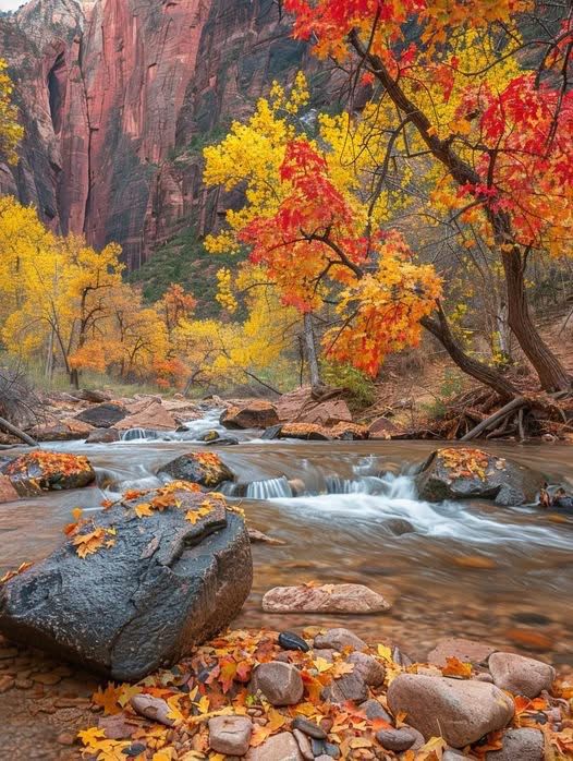 Living Longer, or Living Better?